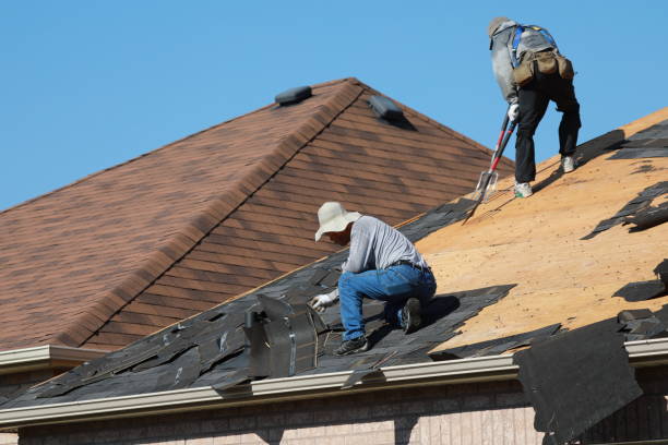 Best Solar Panel Roofing Installation  in Palos Hls, IL